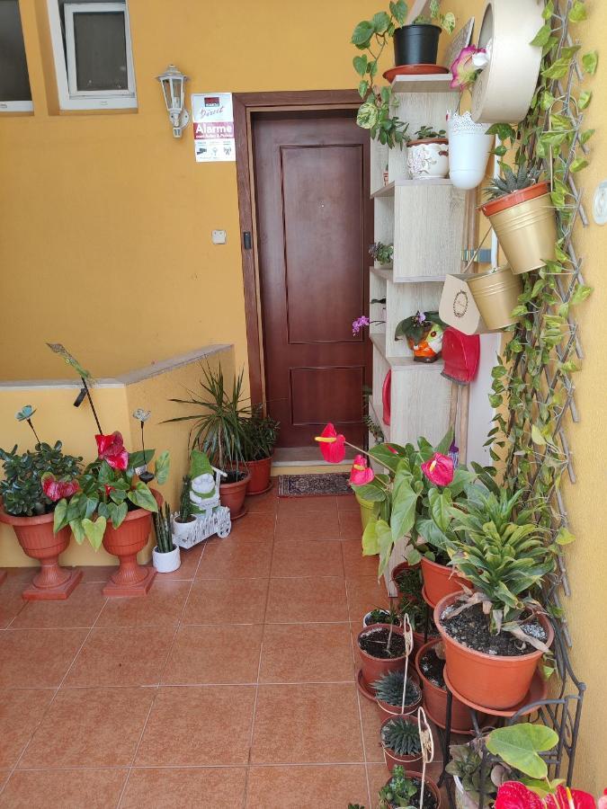 Casinha Gabriela Apartment Lagos Ngoại thất bức ảnh