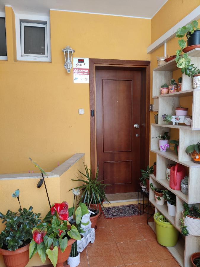 Casinha Gabriela Apartment Lagos Ngoại thất bức ảnh